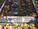image of grave number 905267